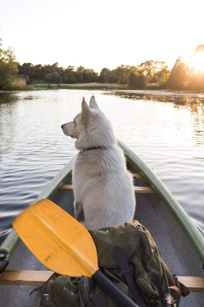 481097120_956908303301623_3516636397571549693_n